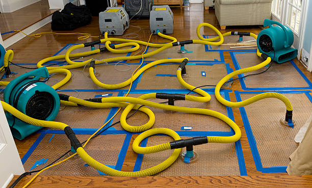 Professional Structural Drying And Dehumidification technician working in Burlington, KY